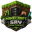 minecraft-srv.net